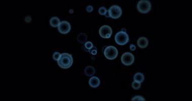 Siyah arka planda mavi baloncukların canlandırılması. Teknoloji, bilgisayar ve dijital arayüz kavramı dijital olarak oluşturuldu.