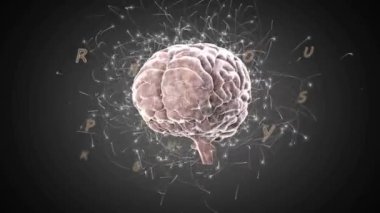 Siyah arka planda bilgisayar devre kartının üzerinde harflerle dijital beynin animasyonu. Küresel teknoloji, bilim, bilgisayar ve dijital arayüz kavramı dijital olarak oluşturulmuş video.