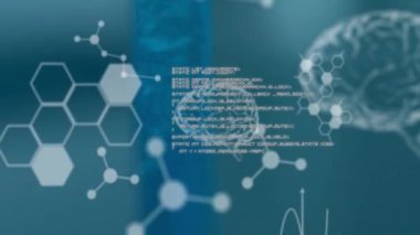 İnsan beyninin animasyonu ve laboratuvar üzerinde bilimsel veri işleme. Küresel bilim, bağlantılar, hesaplama ve veri işleme kavramı dijital olarak oluşturulmuş video.