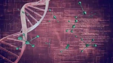 Karanlık arka plan üzerinde dijital veri işleme sahip DNA iplikçikleri ve moleküllerinin animasyonu. Küresel bilim, bağlantılar, hesaplama ve veri işleme kavramı dijital olarak oluşturulmuş video.