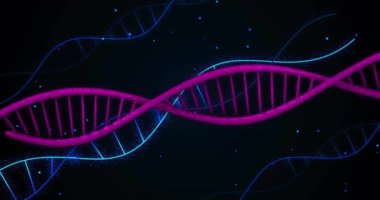 DNA iplikçikleri ve veri işleme animasyonları. Küresel bilim, bağlantılar, hesaplama ve veri işleme kavramı dijital olarak oluşturulmuş video.
