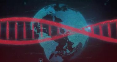 DNA ipliği, küre ve veri işleme animasyonu. Küresel bilim, bağlantılar, hesaplama ve veri işleme kavramı dijital olarak oluşturulmuş video.