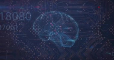 Siyah arka plandaki bilgisayar devre kartının üzerinde dijital beyinle veri işleme animasyonu. Küresel teknoloji, bilgisayar ve dijital arayüz kavramı dijital olarak oluşturulmuş video.