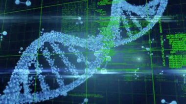 Dönen DNA sarmalının üzerinde bilgisayar dili ve ızgara animasyonu. Hologram, dijital olarak oluşturulmuş, tıbbi, sağlık, kodlama, veri işleme, teknoloji, bilim, genetik araştırma, biyoloji.