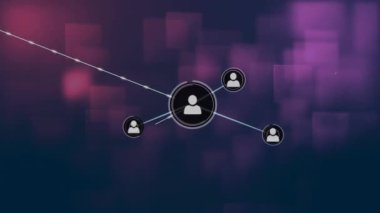 Mor ve mavi arkaplan üzerinde bağlı kullanıcı simgeleri canlandırması ağı. Ağ, bağlantı, dijital, iletişim, teknoloji, İnternet