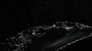 Su, siyah arka planda etrafa saçılmış damlacıklarla su sıçratır. sıvı, hareket, dinamik, parçacıklar, sıvı, soyut