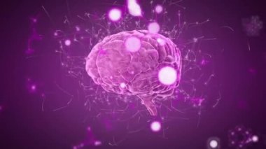 İnsan beyninin animasyonu, nöronların yanıp sönen lensler üzerinde döndüğünü gösteriyor. Hologram, dijital olarak oluşturulmuş, anatomi, tıbbi, bilim, sağlık, araştırma, fütüristik, zeka kavramı.