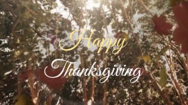 Mutlu Şükran Günü metinleri sonbahar yaprakları ve ağaçların arasından gün ışığı eşliğinde. Kutlama, minnettarlık, şenlik, mevsimlik, yeşillik, animasyon metni