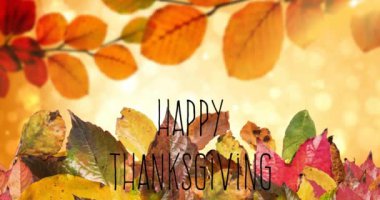 Sonbahar yaprakları üzerinde Mutlu Şükran Günü metninin animasyonu. Şükran Günü, sonbahar, sonbahar, şenlik, kutlama ve dijital olarak üretilen Amerikan geleneği konsepti.