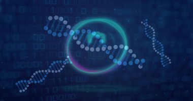 İkili kodlama üzerinde veri işleme ile birlikte DNA iplikçiklerinin resmi. Küresel bilim, veri işleme, bağlantılar ve ağlar konsepti, dijital olarak oluşturulmuş görüntü.