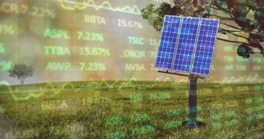 Arka plandaki çimlerin üzerindeki güneş paneli üzerinden finansal veri işleme görüntüsü. Küresel iş, sürdürülebilirlik ve güneş enerjisi kavramı, dijital olarak üretilen görüntü.