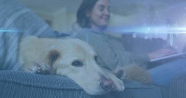 Blue light trails against caucasian woman using laptop while dog sleeping on couch. national pet month awareness concept clipart