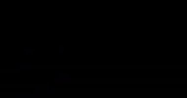 Siyah zemin üzerinde yeşil parçacıklar olan 2025 metinli havai fişek animasyonu. Kutlama, tatil, yeni yıl, gece, görüntü, grafikler