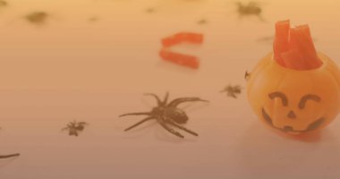 A small pumpkin decoration sitting among plastic spiders on surface. Warm light bathes scene, creating a soft, Halloween-themed ambiance clipart