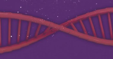 Karların üzerine düşen DNA iplikçiklerinin canlandırılması. Teknoloji, bilim ve dijital arayüz kavramı dijital olarak oluşturulmuş video.