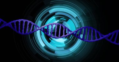 DNA ipliği gelecekteki dijital arayüz görüntüsünün üzerinde dönüyor. Genetik, biyoteknoloji, moleküler, sarmal, bilim, araştırma