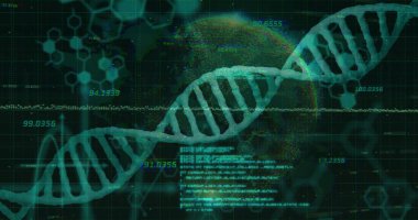 Veri işleme ve küreye DNA dizilimi. Sosyal medya, teknoloji ve dijital arayüz kavramı dijital olarak oluşturuldu.