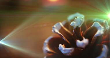 Köknar ağacı konisi Noel süslemelerinin üzerinde parlayan ışıklar. Noel, gelenek ve kutlama konsepti dijital olarak oluşturuldu.