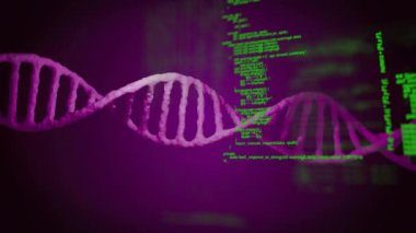 Renkli arkaplanda dönen DNA iplikçiklerinin üzerinde numaralar olan yeşil veri işleme animasyonu. Bilim, bilgisayar ve dijital arayüz kavramı dijital olarak oluşturulmuş video.