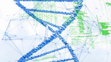 Veri işleme ağı üzerinden bağlantı ağının animasyonu ve beyaz zemin üzerinde mavi DNA ipliği. teknoloji, bilim ve iş konsepti dijital olarak üretilen video.