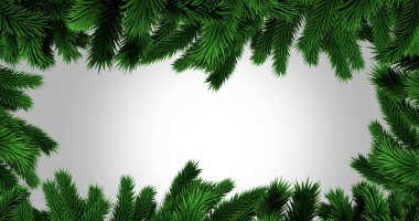 Yeşil noel ağacı dalları ve gri arka planda kopyalama alanı. Noel şenliği ve kutlama konsepti