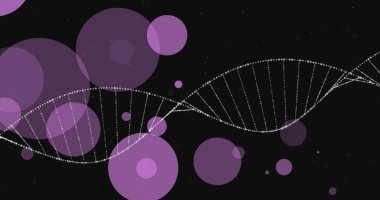 Koyu arkaplanda parlayan noktaların üzerinde dönen DNA iplikçikleri. Küresel bilim, bağlantılar, hesaplama ve veri işleme kavramı dijital olarak oluşturulmuş görüntü.