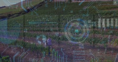 Üzüm bağında yürüyen insanların dijital arayüz görüntüsü. Teknoloji, tarım, yenilik, veri, tarım, analitik