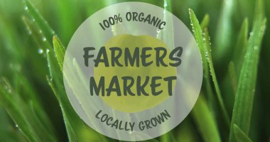 Yüzde yüz organik ve yerel olarak yetişmiş çiftçiler çiğ tanecikli çimlerin üzerinde pazarlanıyorlar. tarım, taze, yeşil, üretim, sebze, meyve