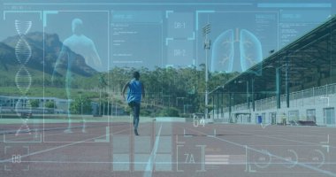 Sağlık verileri ve akciğer analizi görüntüleriyle birlikte peyzaj üzerinde çalışıyor. Koşu, fitness, atlet, egzersiz, teknoloji, biyohack