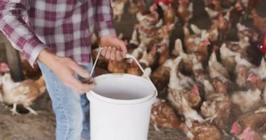 Çiftlikte tavukları besleyen kişinin Dünya Günü animasyonu. Sürdürülebilirlik, çevre, çevre dostu, tarım, tarım, kırsal