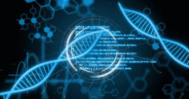 Siyah arkaplandaki DNA iplikçiklerini tarayan dijital veri işleme görüntüsü. Küresel bilim, iş, bağlantılar, hesaplama ve veri işleme kavramı dijital olarak oluşturulmuş görüntü.