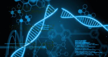 DNA iplikçiklerinin üzerinde veri işleme resmi. Bilim ve dijital arayüz kavramı dijital olarak oluşturulmuş görüntü.