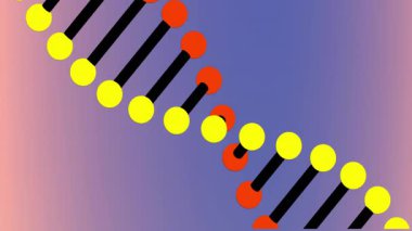 Değişken arkaplanda kırmızı ve sarı noktalar bulunan renkli DNA iplikçiklerinin animasyonu. Genetik, biyoteknoloji, moleküler, bilim, araştırma, mikroskobik