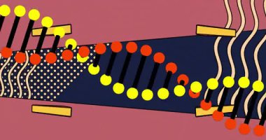 Soyut geometrik şekillerin merkezi dikey çember çizgileri ile animasyonu. Desen, modern, dijital, kalıp, simetri, renkli