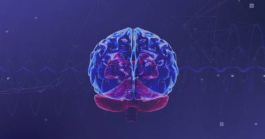 Dijital beyin üzerindeki simgelerle bağlantı ağının görüntüsü. Bilim ve dijital arayüz kavramı dijital olarak oluşturulmuş görüntü.