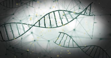 Beyaz arkaplandaki bağlantıların üzerindeki DNA iplikçiklerinin resmi. Küresel bilim, bağlantılar ve dijital arayüz konsepti dijital olarak oluşturulmuş görüntü.