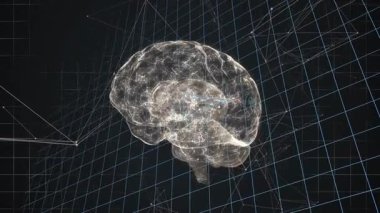 Matematiksel denklemleri ve ızgara çizgileri olan saydam beyin modelinin animasyonu. Nöroloji, teknoloji, matematik, dijital, fütürist, anatomi