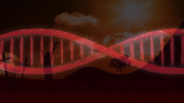 Kişi siluetinin üzerinde DNA iplikçikleri ve karanlık arazide haçlar. Genetik, biyoteknoloji, bilim, yenilik, araştırma, tıbbi