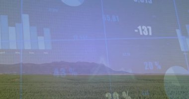 Finansal veri tabloları ve yeşil alan manzarasının grafikleri. Maliye, analitik, yatırım, ekonomi, veri analizi, çevre