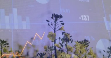 Doğal ortamda çiçek açması üzerine grafik ve veri animasyonu. Doğa, büyüme, teknoloji, görselleştirme, analiz, çevre