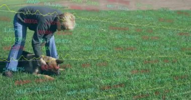 Çimlerin üzerinde köpekle oynayan kişi, borsa verileri animasyonu örtüyor. Evcil hayvan, finans, yatırım, şakacı, arkadaşlık