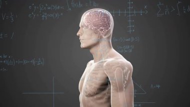 Okul diyagramlarını kaplayan matematiksel denklemlerle insan anatomisinin animasyonu. Biyoloji, matematik, bilim, öğrenme, eğitim, illüstrasyonlar