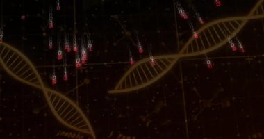 Bilimsel veri işleme için DNA dizisi ve ikili kodlama. Bilim, biyoteknoloji, dijital, genetik, araştırma, teknoloji