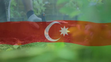 Bahçıvanlı mala, Azerbaycan bayraklı adam yemyeşil ortamda canlandırma. Vatanseverlik, bahçıvanlık, yeşillik, manzara, ulusal bayrak, animasyon