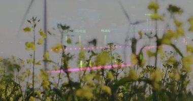 Rüzgar türbinleri ve çiçekleri finansal veri işleme animasyon örtüsü ile birlikte. Yenilenebilir enerji, finans, sürdürülebilirlik, teknoloji, çevre