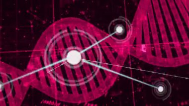 Bilimsel veri işleme animasyonunda ikili kodlama içeren DNA ipliği. Genetik, biyoteknoloji, biyoenformatik, bilim, yenilik, araştırma