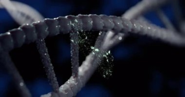 DNA iplikleri dijital zarfla iç içe geçerek genetik iletişim animasyonunu temsil ediyor. Genetik, biyoteknoloji, yenilik, moleküler, bilim, teknoloji