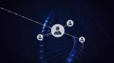 Koyu arkaplan üzerinde kullanıcı simgelerini bağlayan DNA iplikçiklerinin animasyonu. Genetik, biyoteknoloji, ağ, dijital, bağlantı, biyoloji