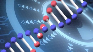 DNA ipliği ve ikili kodlama animasyonu, bilimsel verileri laboratuvarda işlemek. Bilim, biyoteknoloji, genetik, araştırma, yenilik, veri analizi