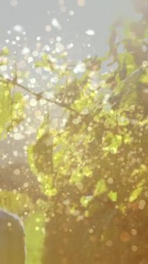 Beyaz tenli bir çiftin el ele tutuşup üzüm bağında yürümesinin animasyonu. şarap işi, kutlama ve birlikte zaman geçirme konsepti dijital olarak oluşturulmuş video.